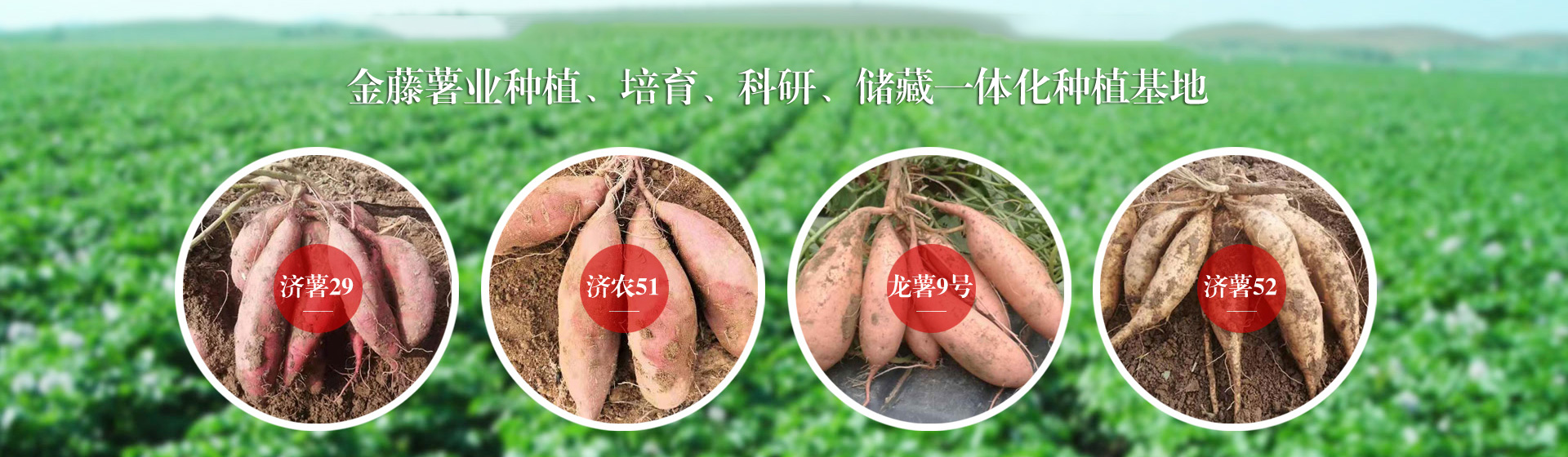 資質(zhì)榮譽(yù)