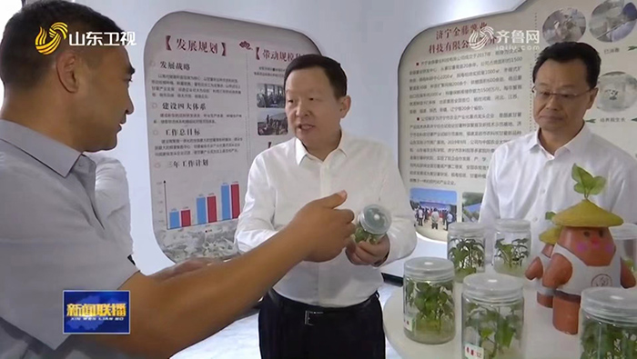 山東省委副書(shū)記、省長(zhǎng)周乃翔到金藤公司調(diào)研汶上縣甘薯產(chǎn)業(yè)發(fā)展情況