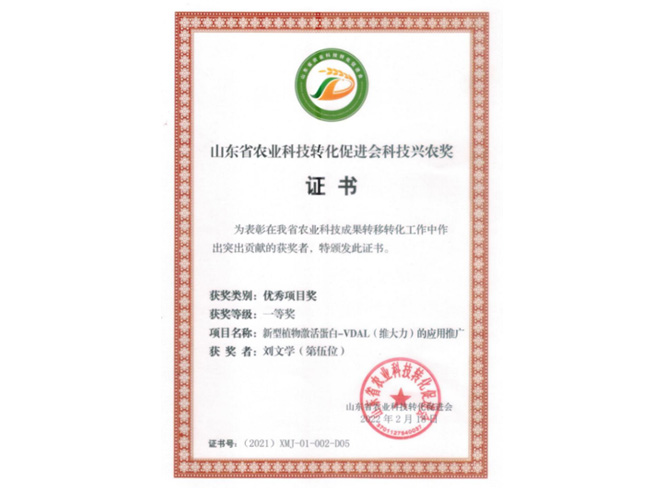 榮譽(yù)證書